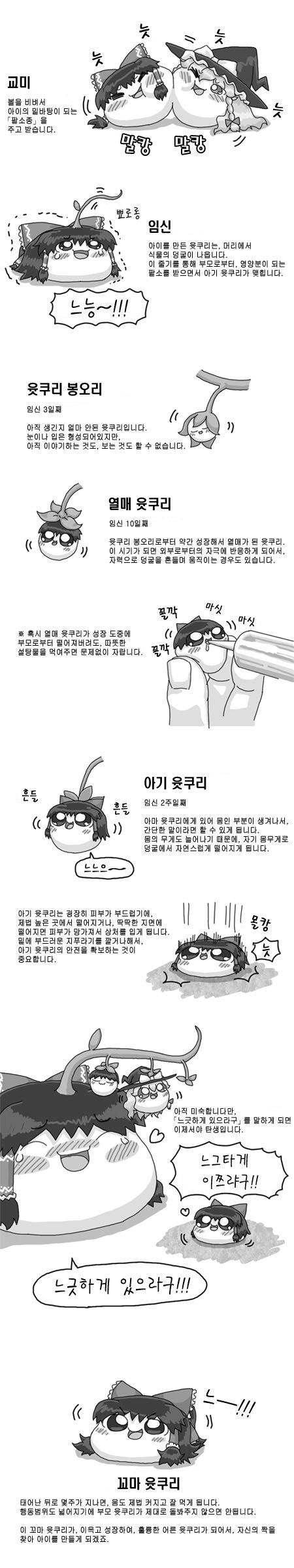 윳쿠리_번식_01.jpg
