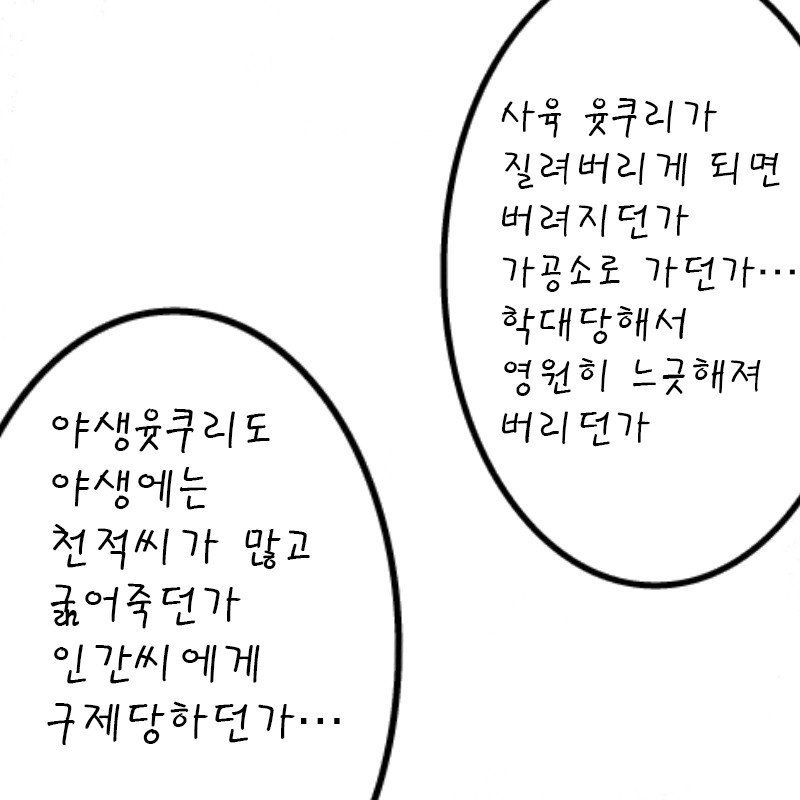 1bcb80c05ac50a8ea0c4c9118547f60a_1446765888_72.jpg