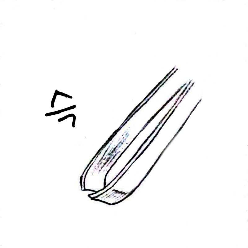 a107137c7a43ab778571ead44027568a_1446896926_13.jpg