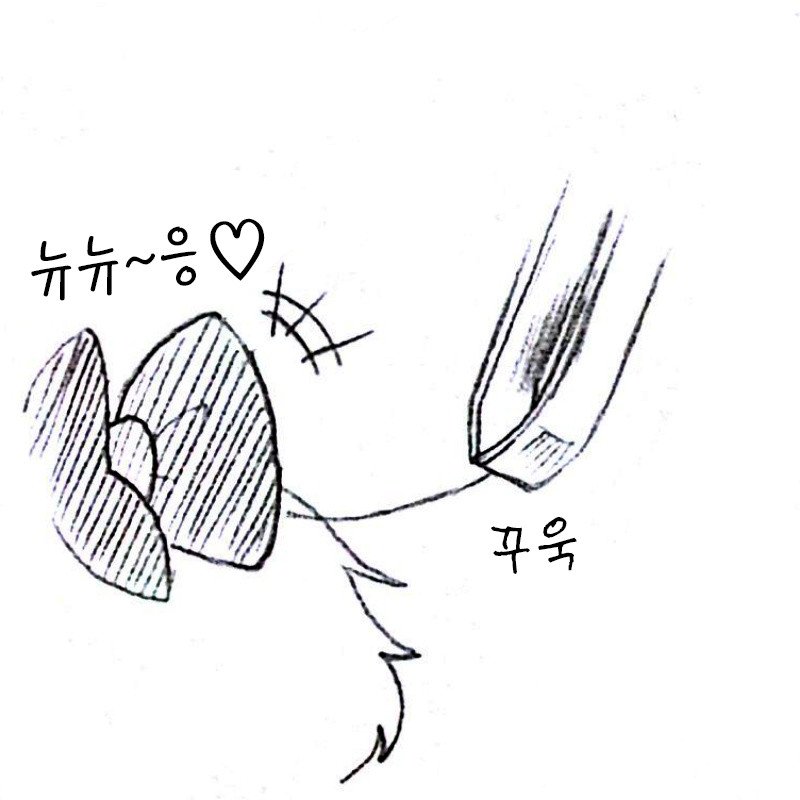 a107137c7a43ab778571ead44027568a_1446896926_8.jpg