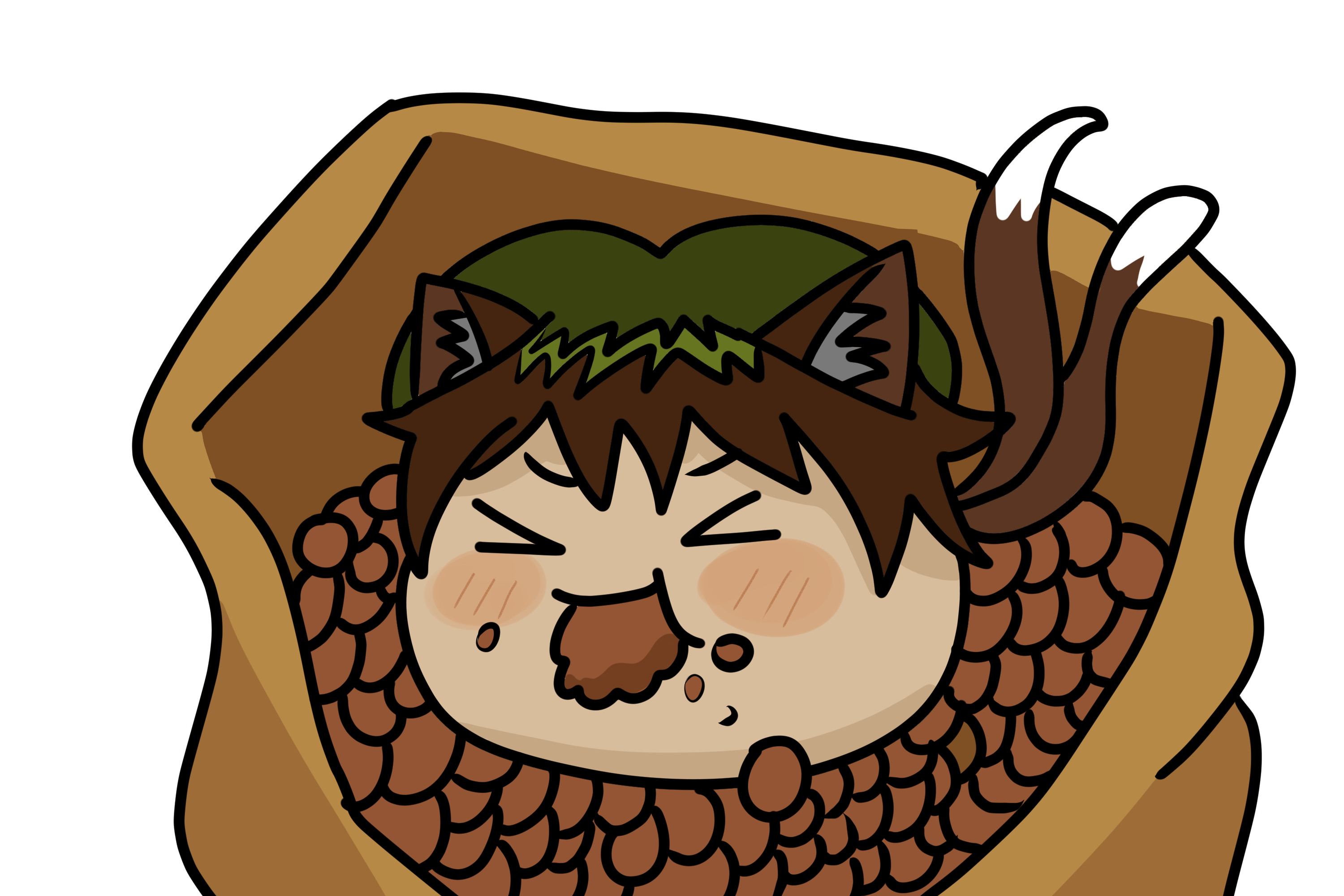 봉투안의 첸.png