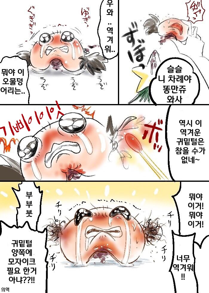 97.jpg