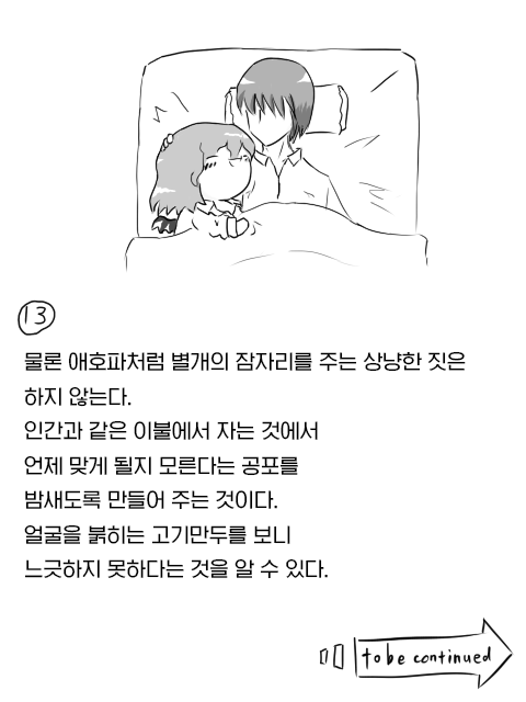 19099526_p12.png