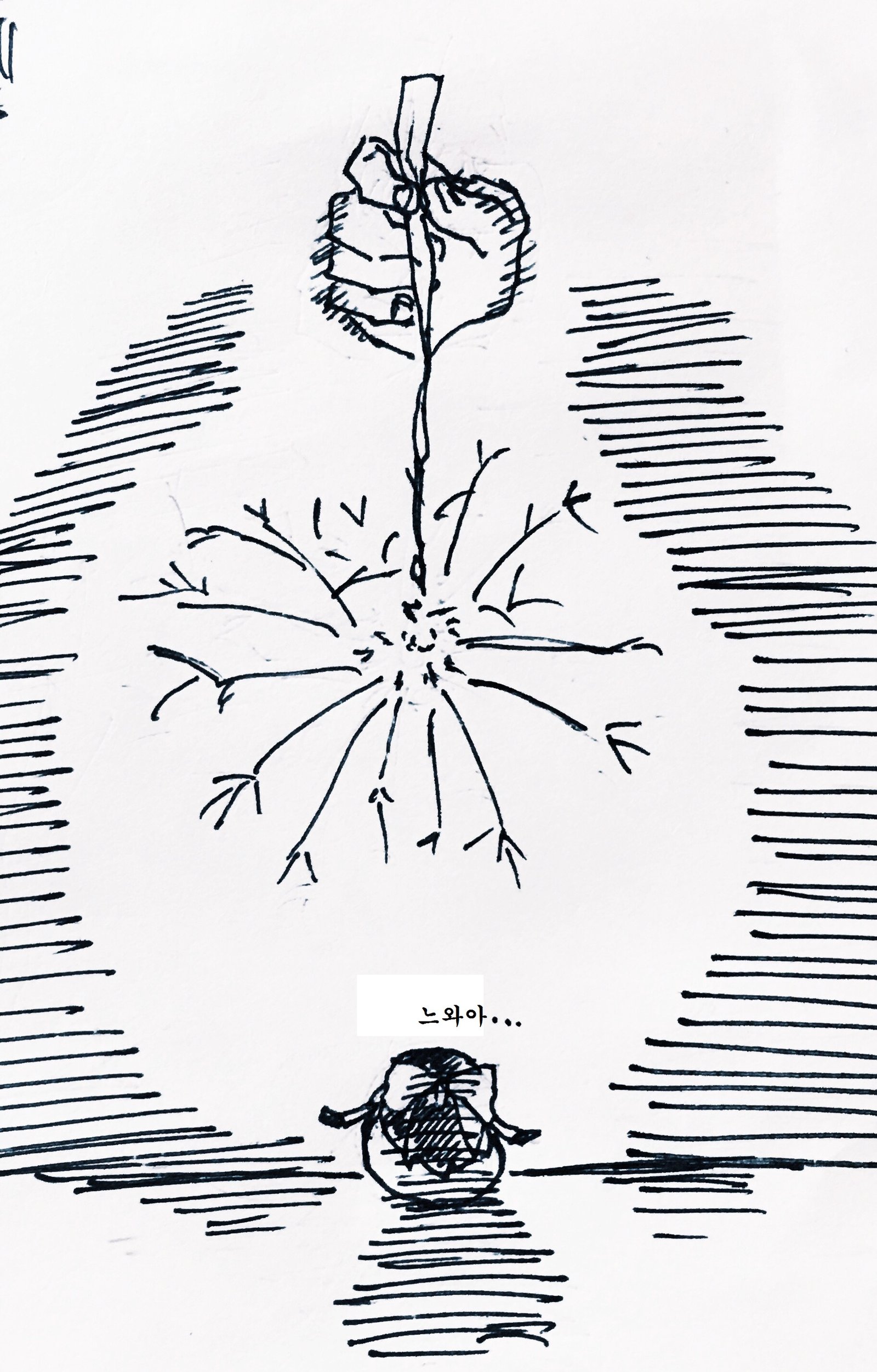 69870181_p3.jpg