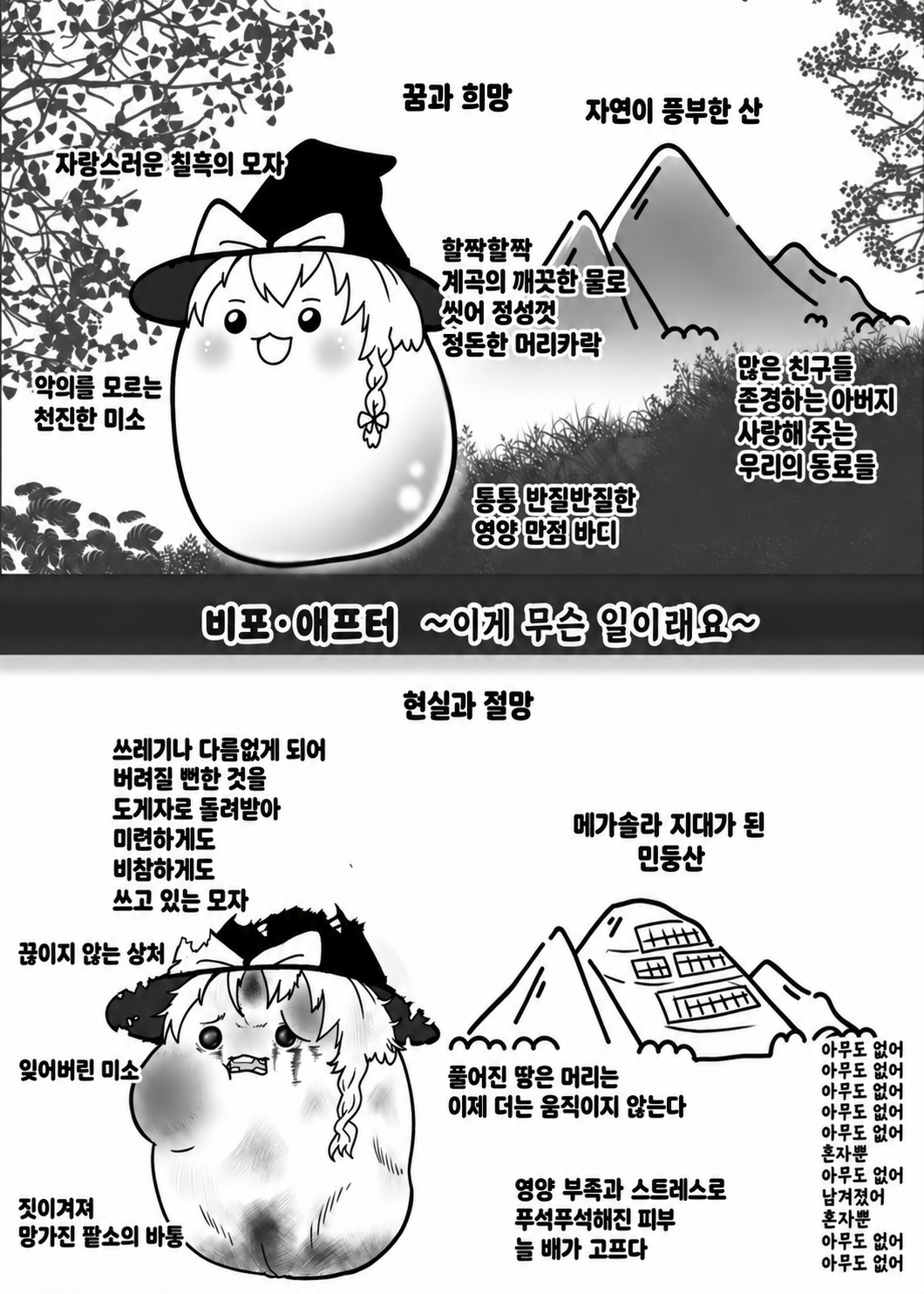 비포애프터마리사.png