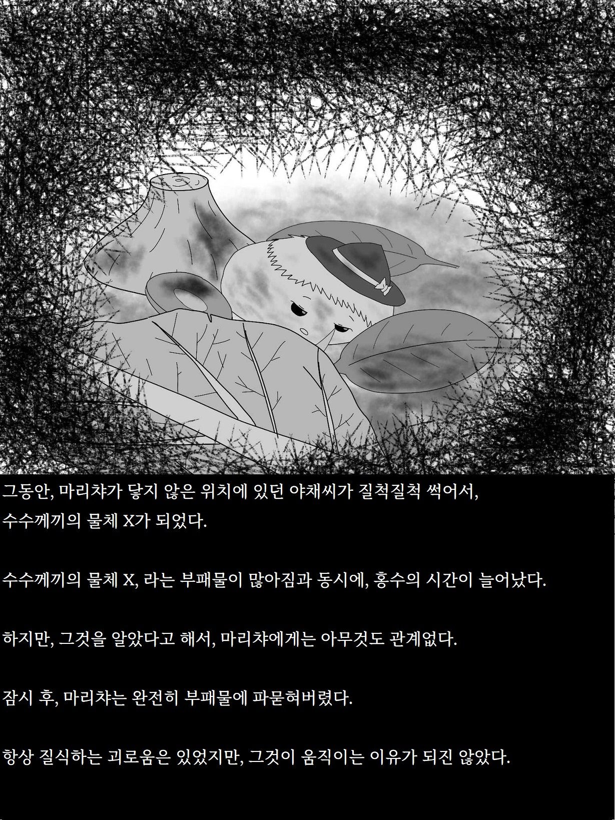 51.jpg