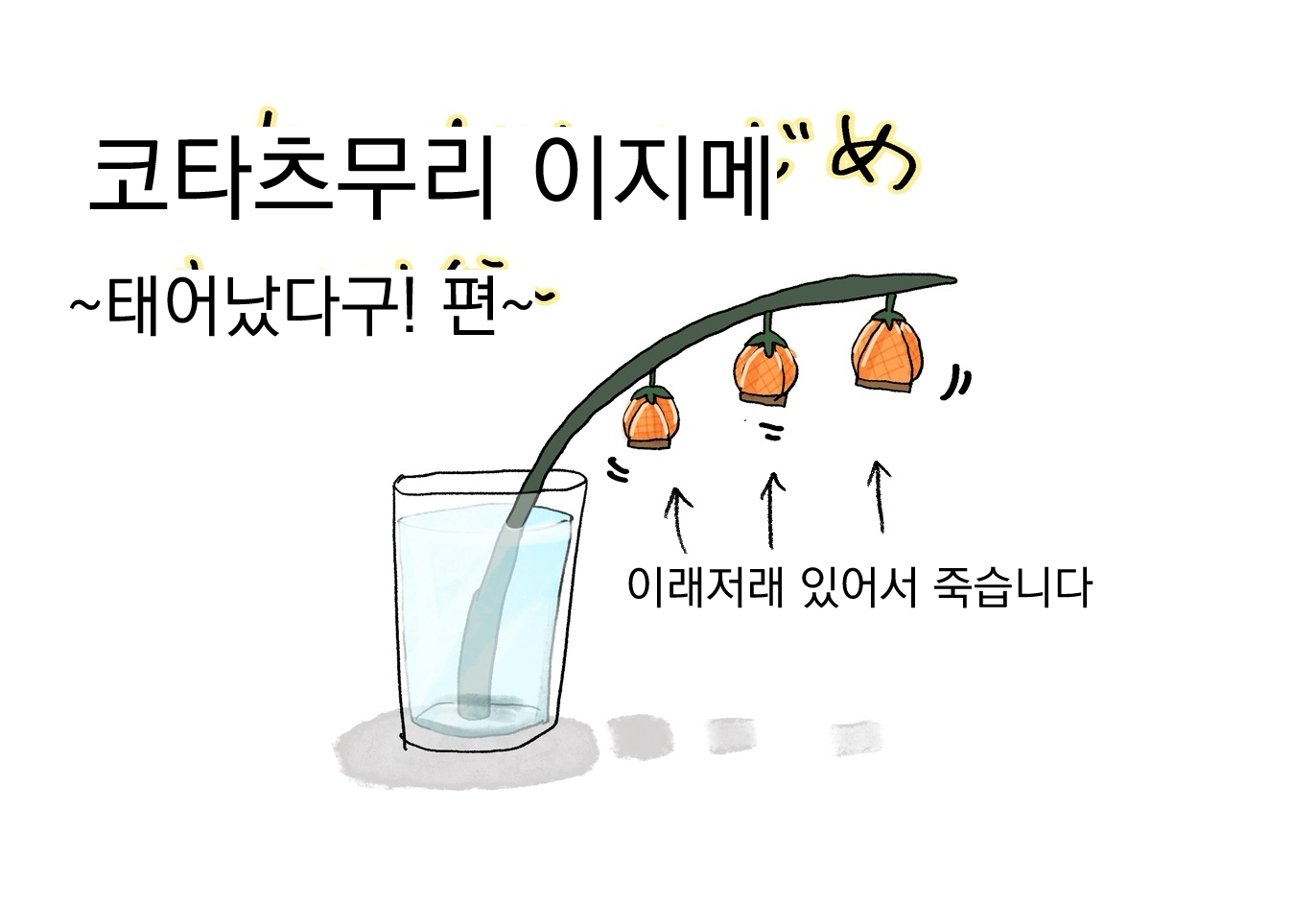 126989331_p0.jpg