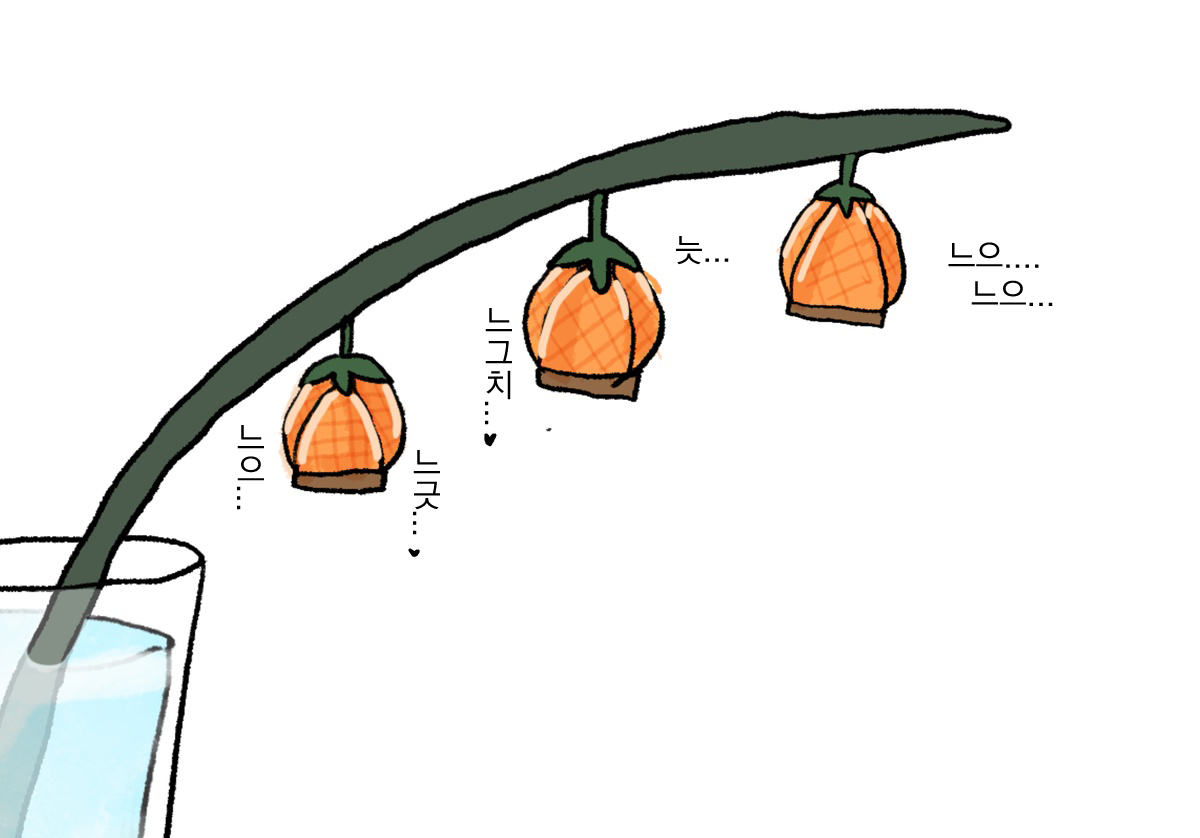 126989331_p1.jpg