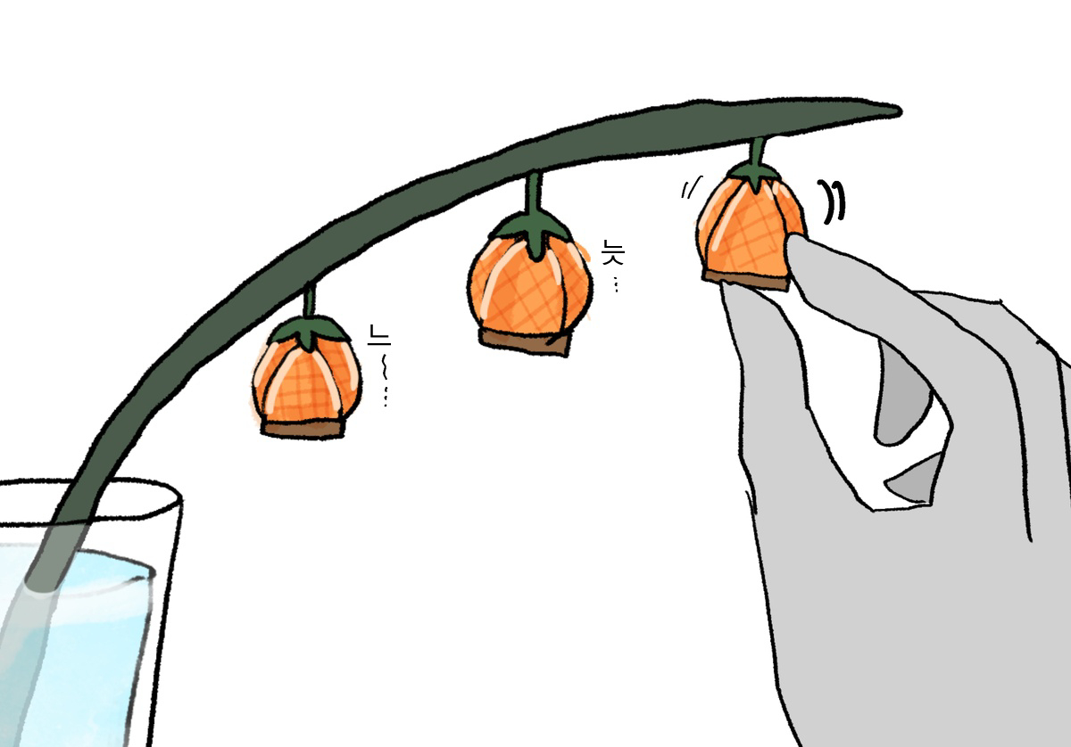 126989331_p2.jpg
