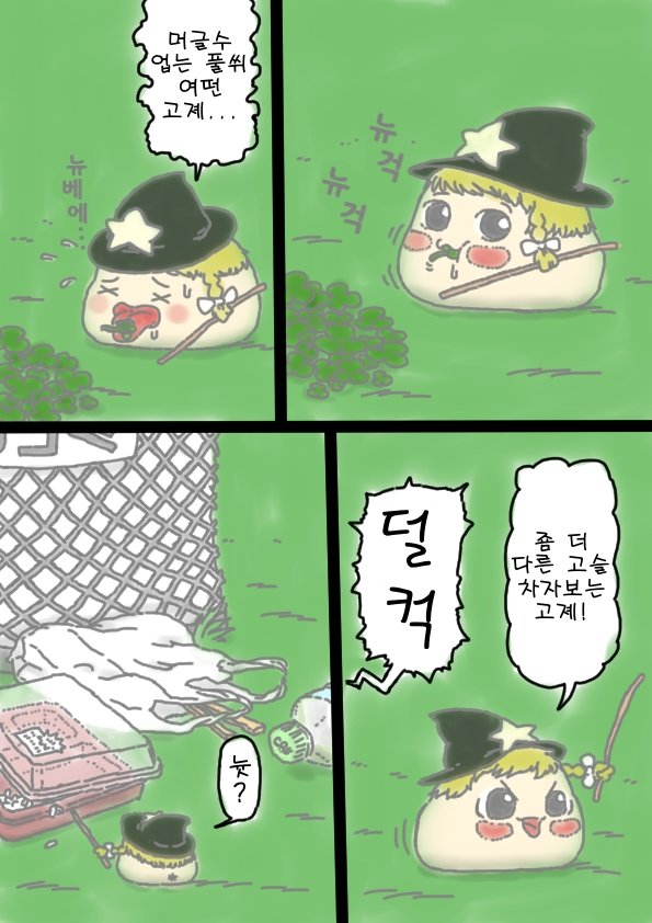 15.jpg
