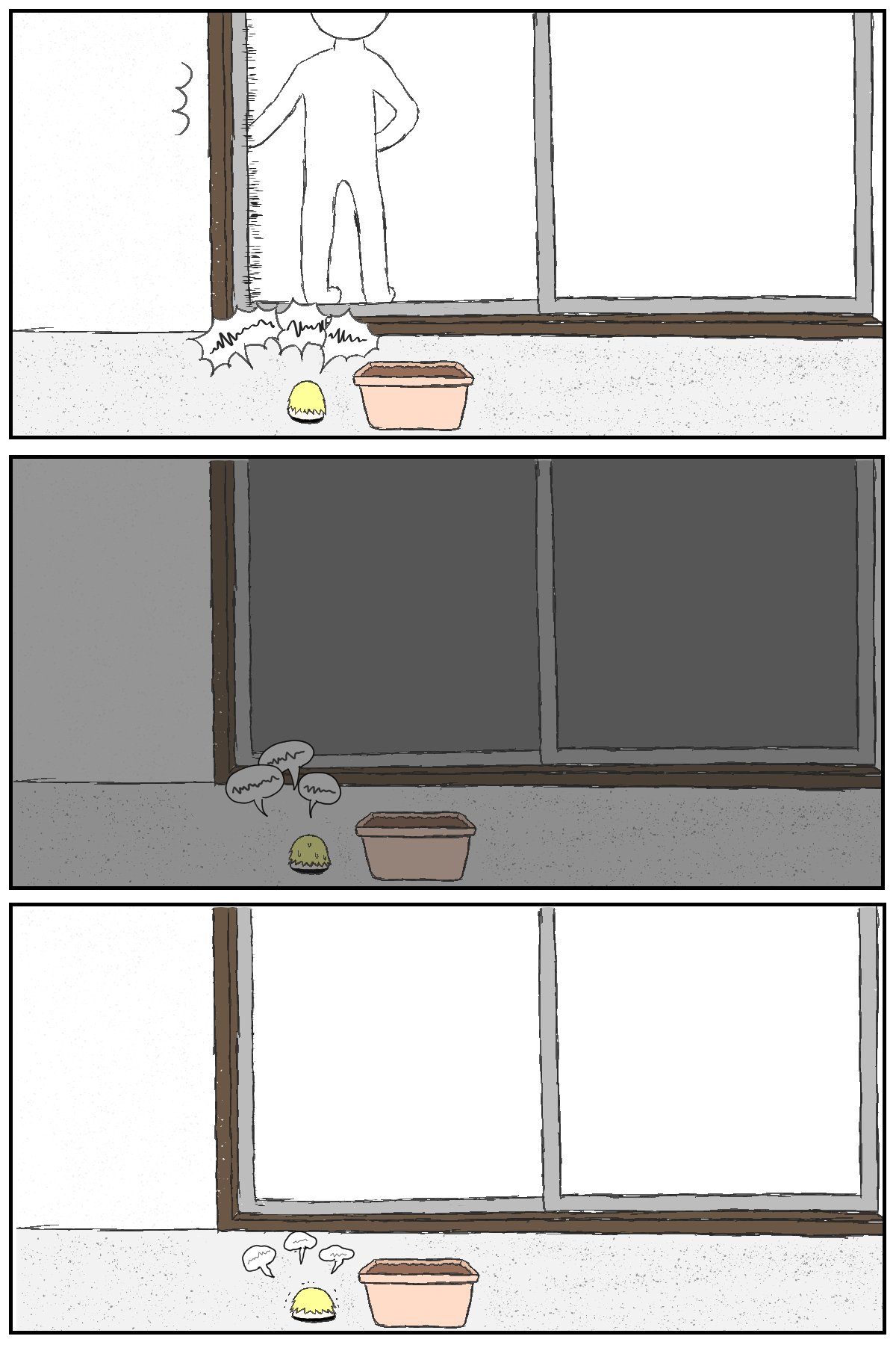 05.jpg