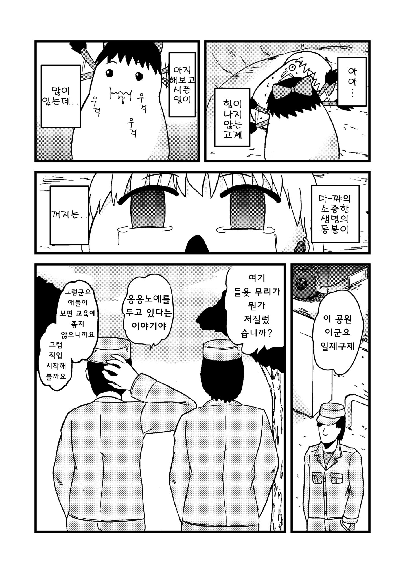 06.jpg