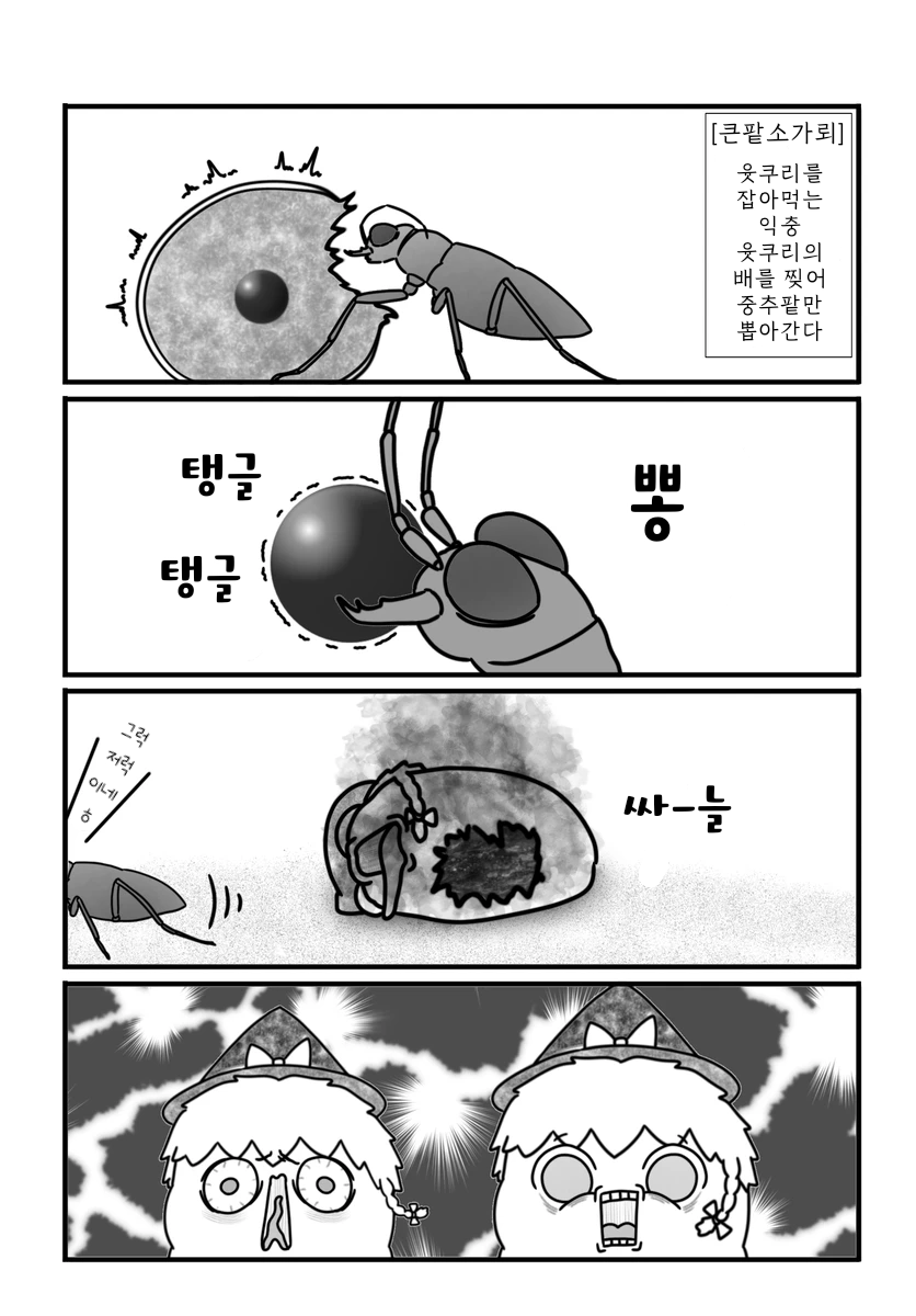 무제245.png