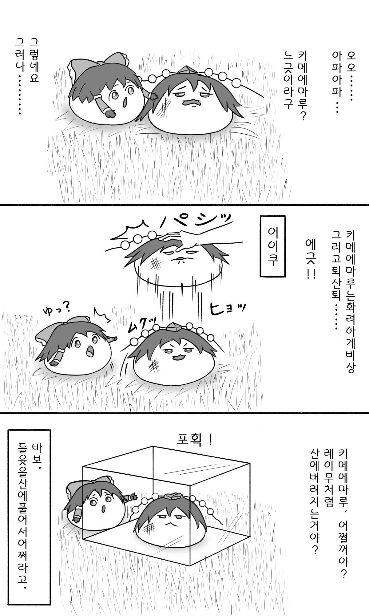 21.jpg