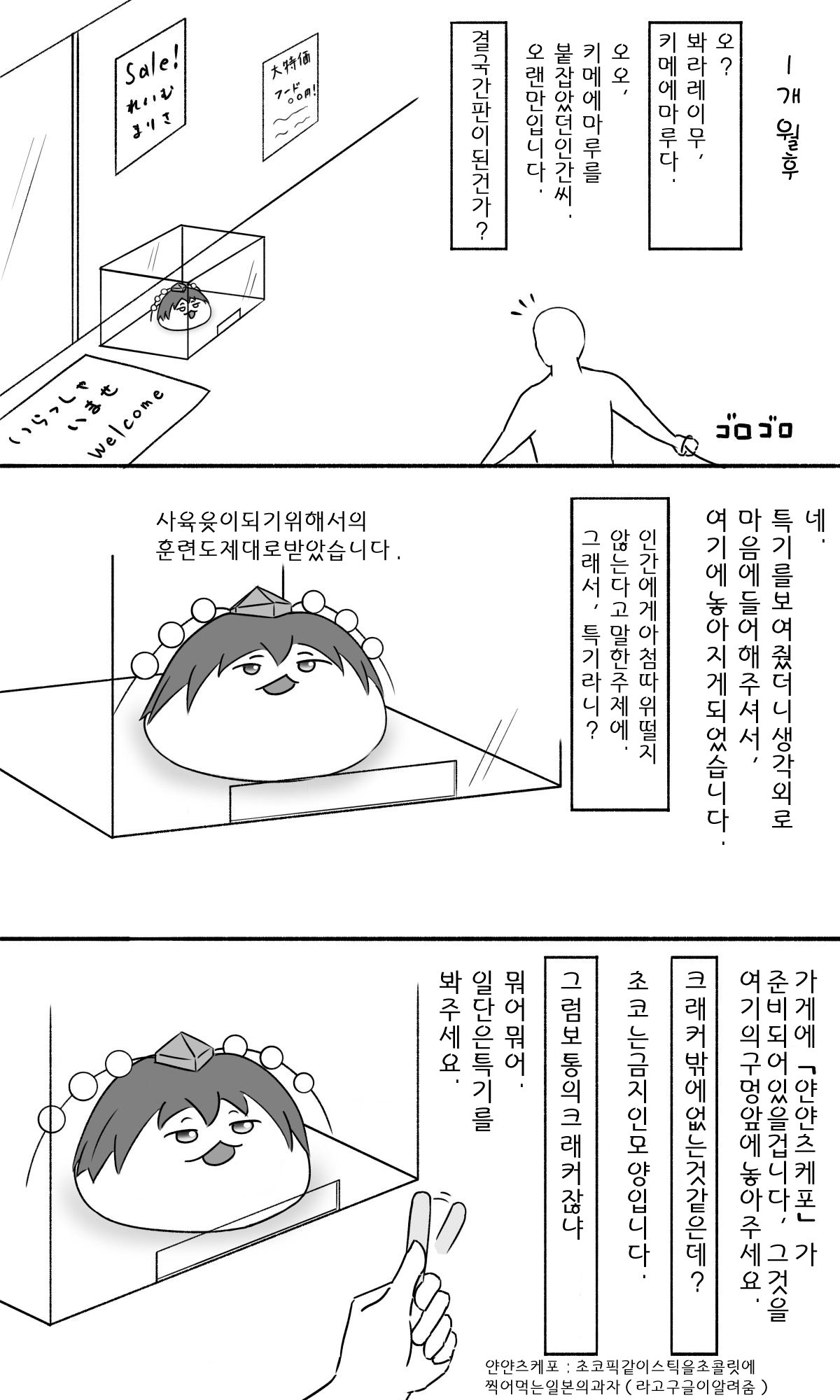 25.jpg