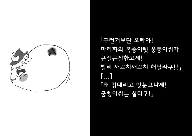06.jpg
