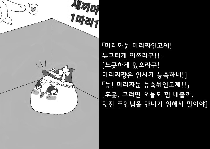 01.jpg