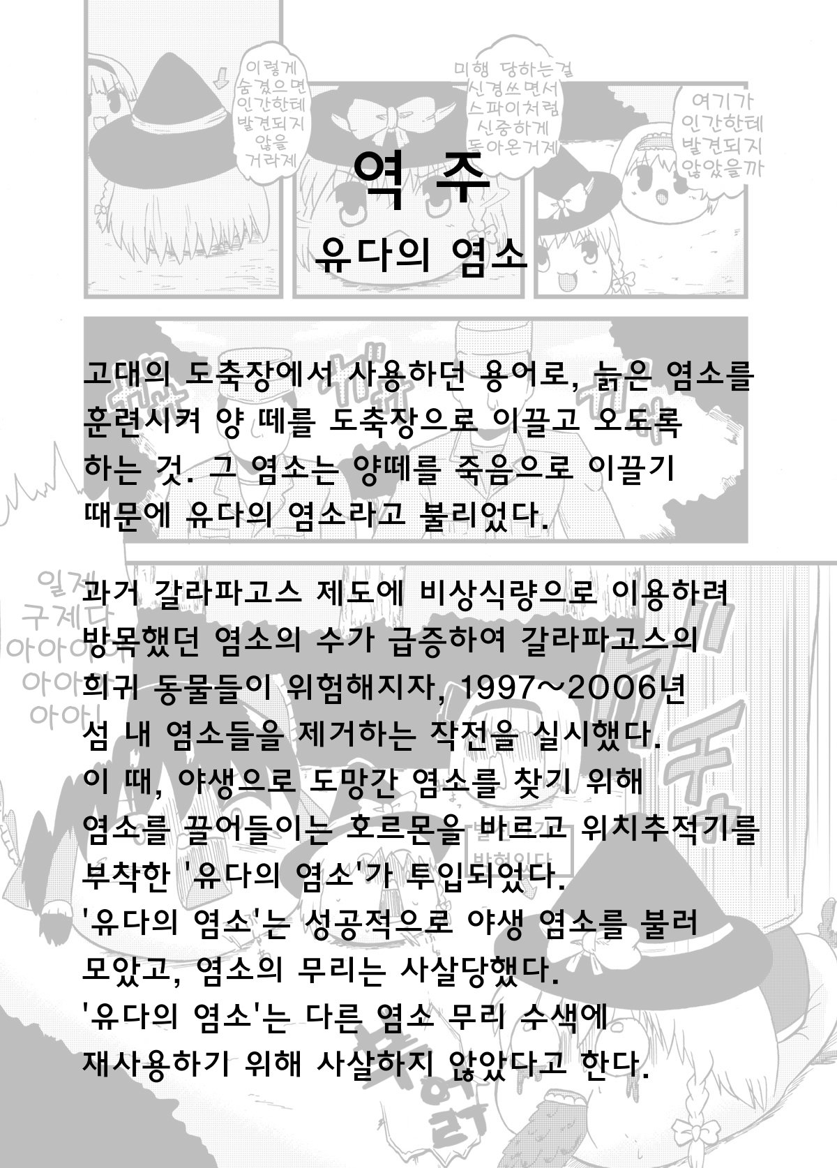 04.jpg