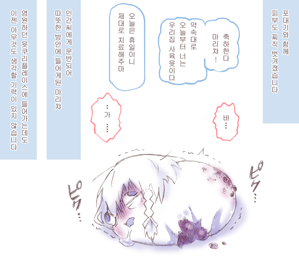 51.png