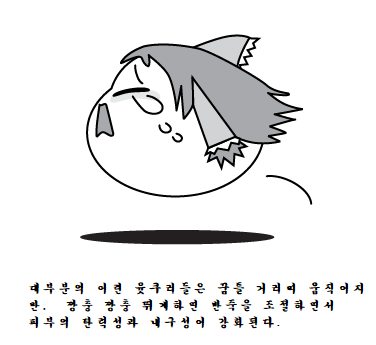 12.png