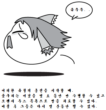 16.png