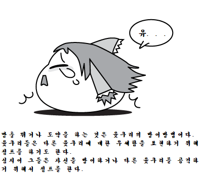 13.png