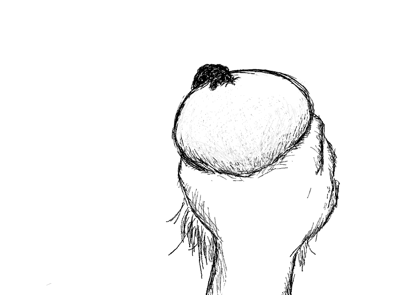 67947768_p7.png