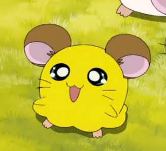 hiuhuihuihuih.PNG