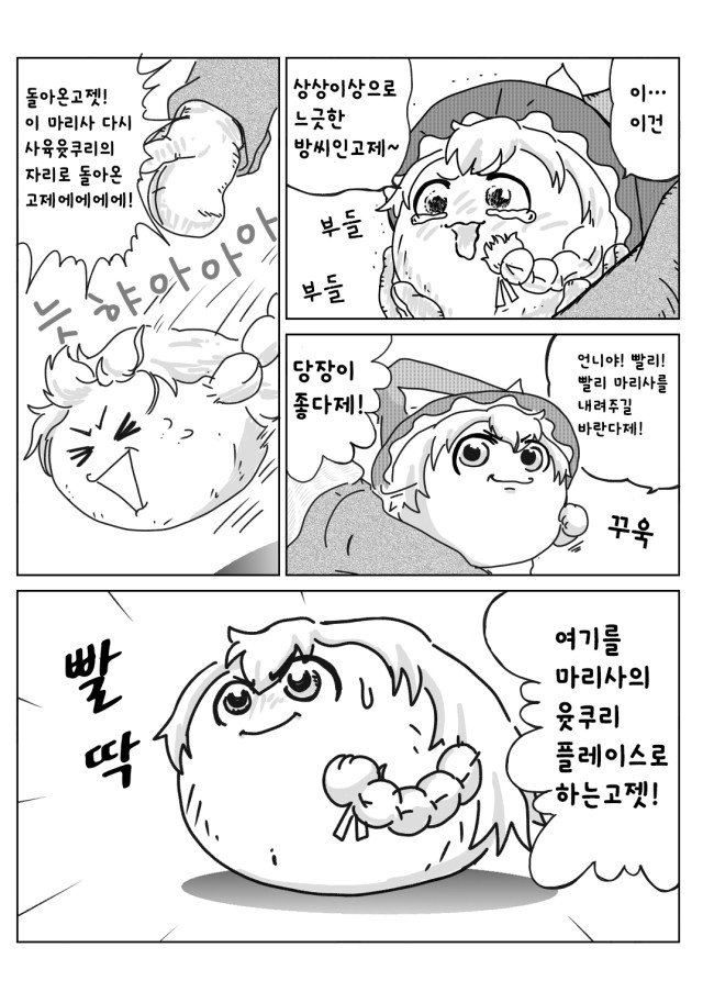 5.jpg