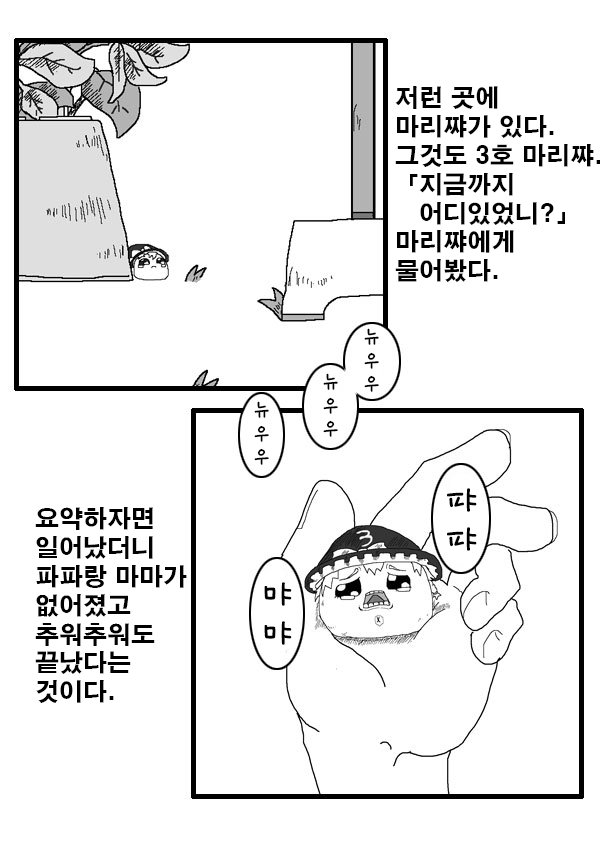 15.jpg