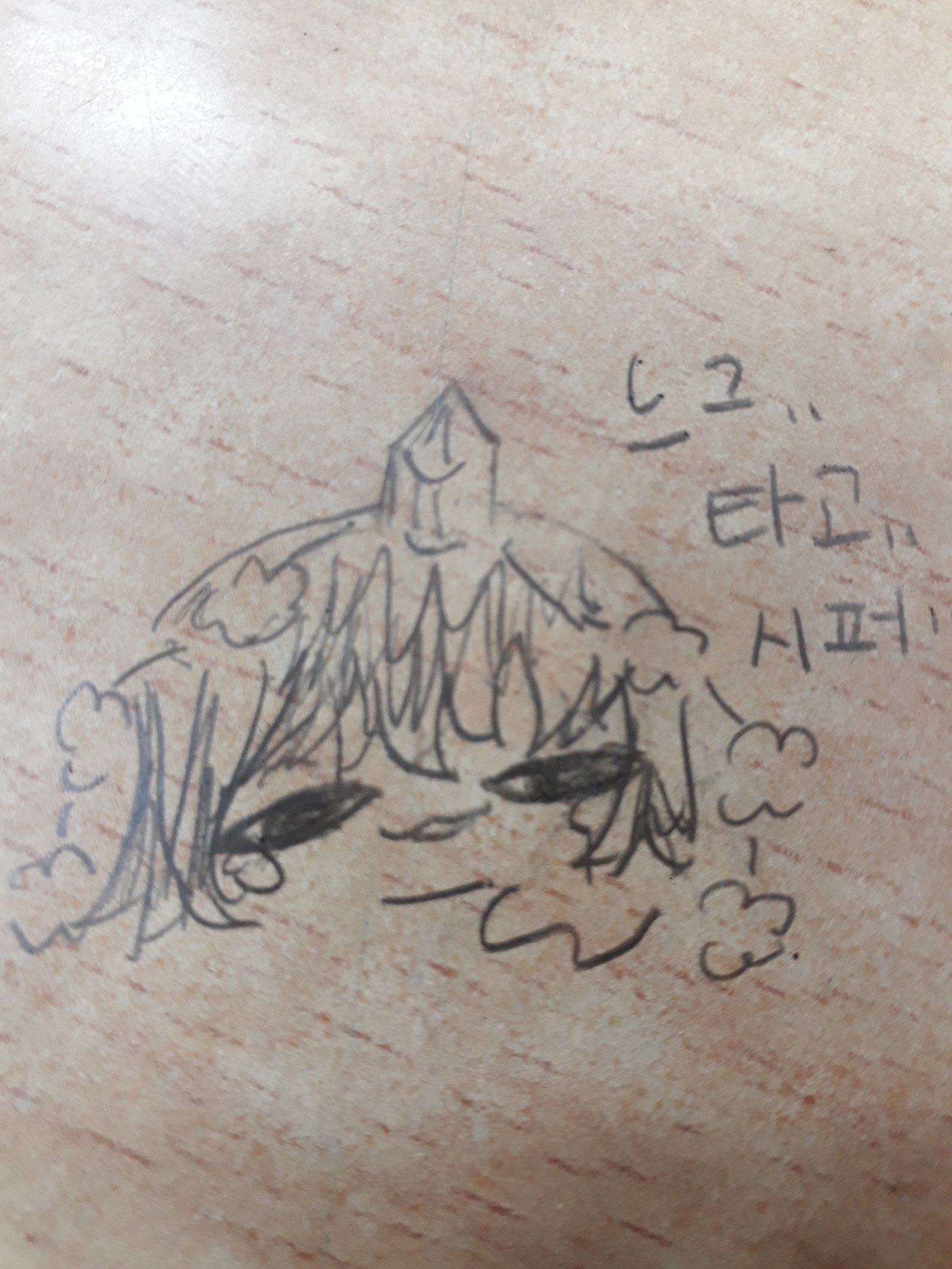 20190325_175249.jpg