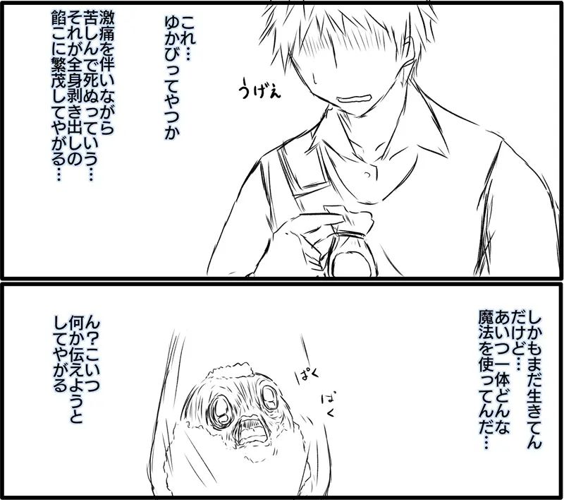 ia_10109.jpg