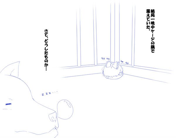 58249766_p15_master1200.jpg