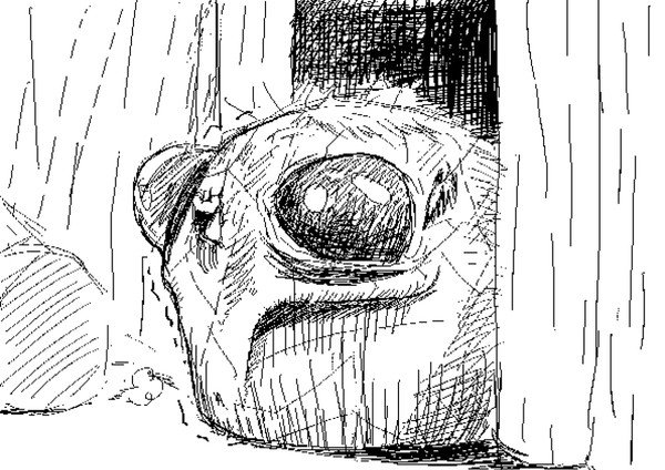 63572852_p36_master1200.jpg