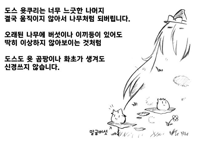 003.jpg